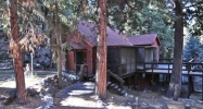 9320 Canyon Dr Forest Falls, CA 92339 - Image 12013291