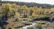 TBD Routt County Road 80 & 56 Hayden, CO 81639 - Image 12015683