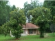 116 Mattox Rd Choudrant, LA 71227 - Image 12017295