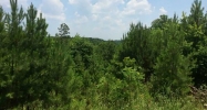 3 Soap Creek Road Ball Ground, GA 30107 - Image 12201901