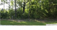 4 TOE RIVER LN LOT4 Cropwell, AL 35054 - Image 12267353