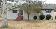 County Road 221 Collinsville, AL 35961 - Image 12340702