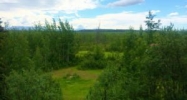 11110 W Wasey Way Big Lake, AK 99652 - Image 12386100