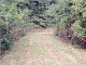 73 POTATO HOUSE RD Edwards, MS 39066 - Image 12418744