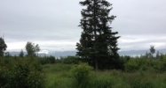 54495 Rolling Meadows Road Homer, AK 99603 - Image 12490458