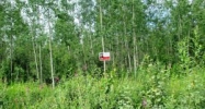 2728 S Walnut Wood Drive Big Lake, AK 99652 - Image 12499577