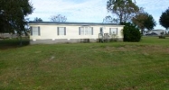 7796  County Rd 109 Lady Lake, FL 32159 - Image 12542092