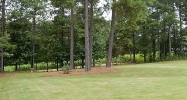 4501 White Horse Drive Braselton, GA 30517 - Image 12613778