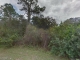 E 21St St Alva, FL 33920 - Image 12620716