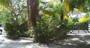 73 Indies Rd Summerland Key, FL 33042 - Image 12649823