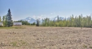 4600 E Merrill Circle Wasilla, AK 99654 - Image 12671136