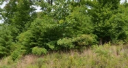 LOT 70 HICKORY POINTE Maynardville, TN 37807 - Image 12712113