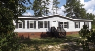 131 Goldfinch Ln Ridge Spring, SC 29129 - Image 12731336