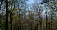 252 Wild Turkey Bluff Jasper, GA 30143 - Image 12813468