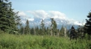 L3 Morrison Drive Homer, AK 99603 - Image 12945428