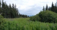 5530 West Terrace Boulevard Homer, AK 99603 - Image 13098569