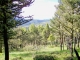 Lot 1 Butler Hill White Sulphur Springs, MT 59645 - Image 13109137