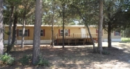 193 Squirrel Run Paige, TX 78659 - Image 13156059