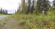 3990 N Fireweed Fields Drive Wasilla, AK 99654 - Image 13241207