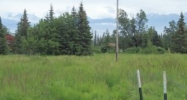 57635 Reinhart Lane Homer, AK 99603 - Image 13243857