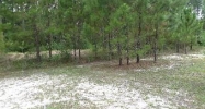 4788 NE County Line Rd Ludowici, GA 31316 - Image 13263428