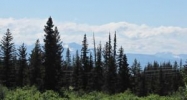 147 Skyline Drive Homer, AK 99603 - Image 13264739