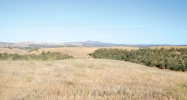 Lot 4 Calle Las Colinas Creston, CA 93432 - Image 13367596