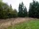 19420 161st Way SE Yelm, WA 98597 - Image 13376484