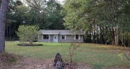 471 Double Bridge Ferry Rd Eclectic, AL 36024 - Image 13407786