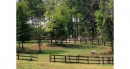 219 Brice Road Se Silver Creek, GA 30173 - Image 13458889