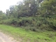 2.90 AC White Oak Road Crawford, TN 38554 - Image 13549309