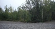 1134 S Horseshoe Lake Place Big Lake, AK 99652 - Image 13554878