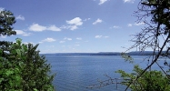 909 Pine Island Point Scottsboro, AL 35768 - Image 13623962