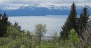 349 Fireweed Avenue Homer, AK 99603 - Image 13631570