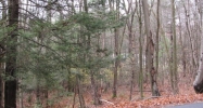 Lot 6 Vinton Road Holland, MA 01521 - Image 13640499