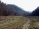 1198.29 Ac. McCormick Ridge Rd Red Boiling Springs, TN 37150 - Image 13695013