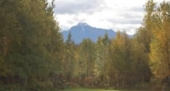 Lot 3 N Britchenstrap Drive Palmer, AK 99645 - Image 13696892