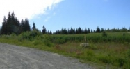 Tr. 27 West Highlands Boulevard Homer, AK 99603 - Image 13703920