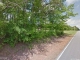 County Road 43 Section, AL 35771 - Image 13863664