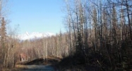 5800 E Hideaway Circle Wasilla, AK 99654 - Image 13963153