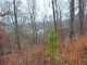 2050 New County Line Rd Sylacauga, AL 35151 - Image 13974098