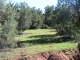 202 Cathedral Valley Ash Fork, AZ 86320 - Image 13987698