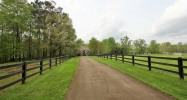 875 Hasty Trail Canton, GA 30115 - Image 14116708