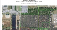 1335 Calvary Road Holiday, FL 34691 - Image 14448632