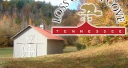 664 Fingerboard Rd Reliance, TN 37369 - Image 14474077