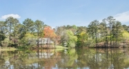 12341 King Road Roswell, GA 30075 - Image 14502953