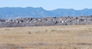 7671 E. Highway 24 Colorado Springs, CO 80916 - Image 14513536