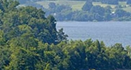 Douglas Lake Resort Sevierville, TN 37876 - Image 14582774