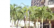 540 BRICKELL KEY DR # 520 Miami, FL 33131 - Image 14736804