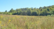 20.94 AC Rickman Road Livingston, TN 38570 - Image 14744380